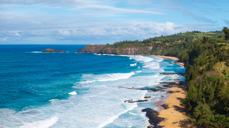 Aerial view of golden-sand beach backed by green trees and blue sea with white-tipped waves