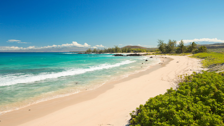 remote white sand beach and turquoise water backed by greenery