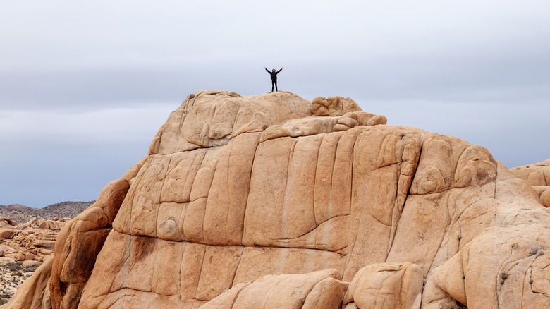 Hiker on top of a massive rock
