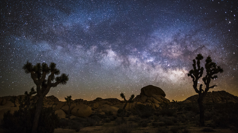 Desert landscape at night with Milky Way. Joshua tree national park in California