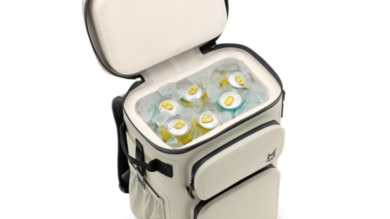 the Sam's Club Member's Mark Waterproof Backpack Cooler in cream