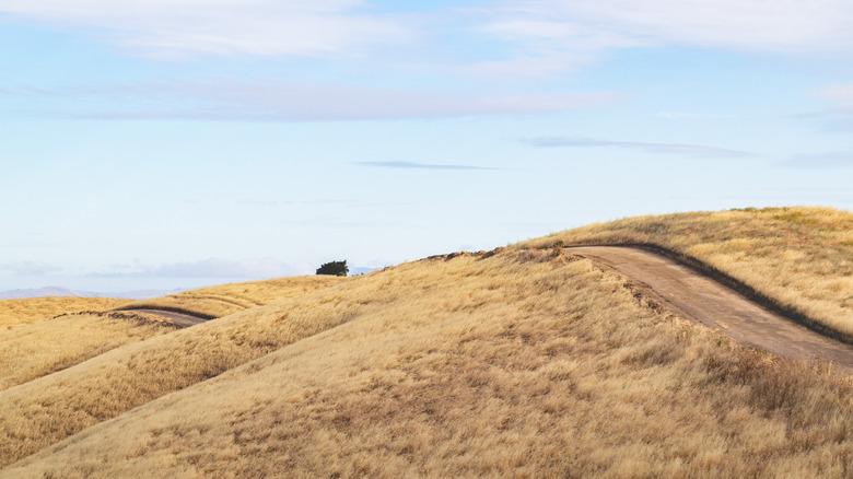 paved road on hills