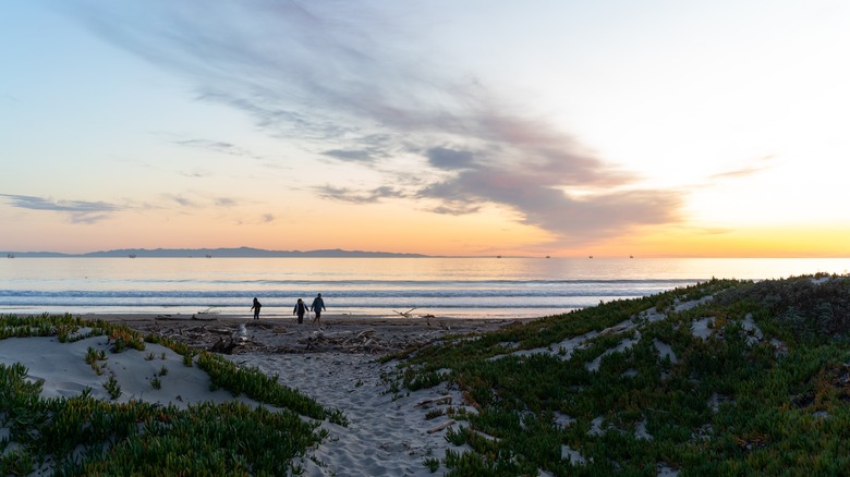 People walking on the beach at sunset
