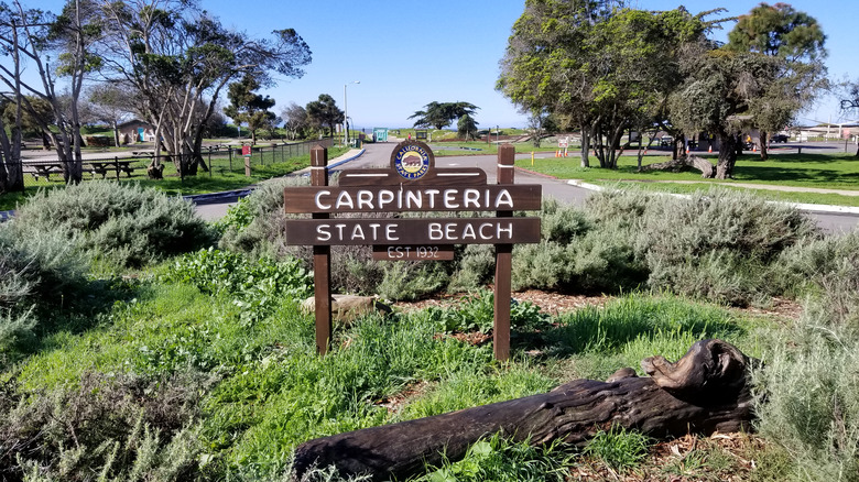 Wooden Carpinteria State Beach sign
