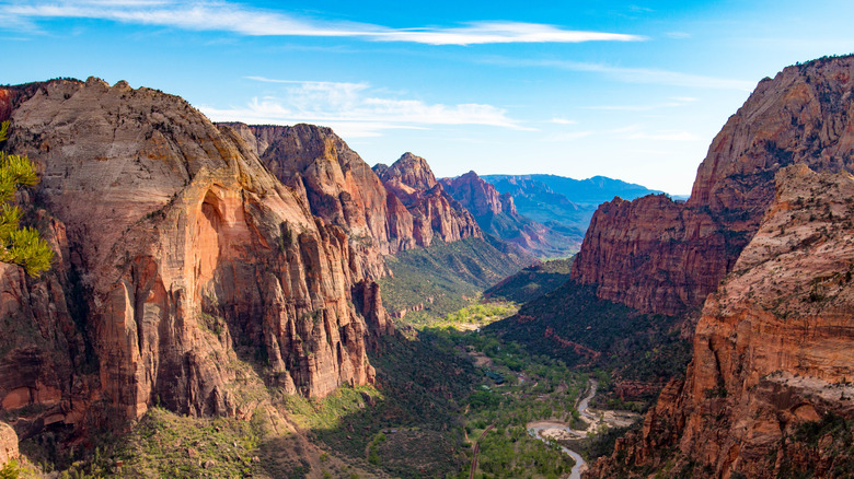View from Angels Landing Zion National Park