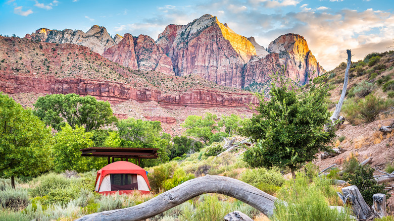 Watchman Campground with watchman rock formation behind a tent
