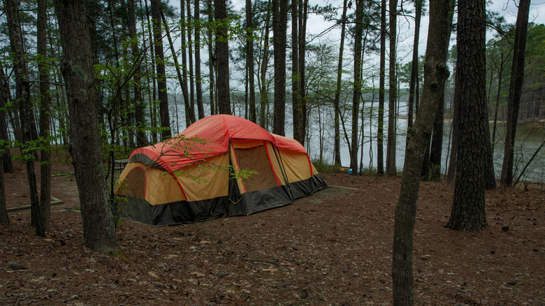 Tent set up on Jordan Lake, North Carolina