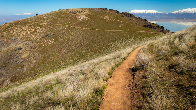 Frary peak trail at Antelope Island State Park in Utah