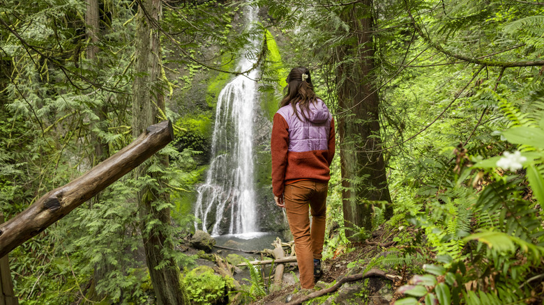 A person looking at a waterfall from a distance