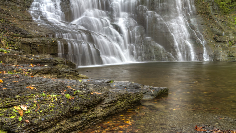 Autumn leaves line the pool at the bottom of Frontenac Falls