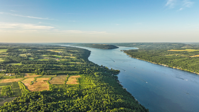Aerial view of lake shoreline, with green forests and vineyards