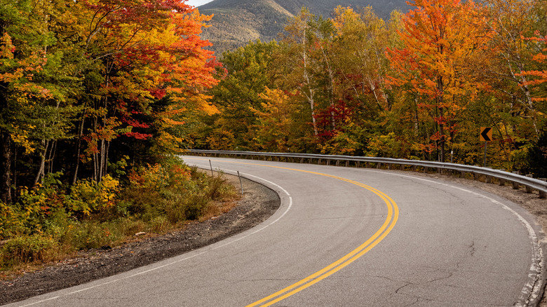 Fall foliage of the White Mountains.