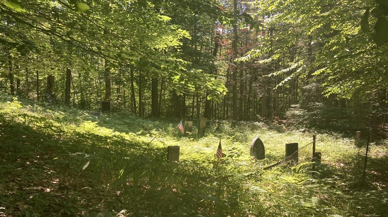 Thornton Gore's cemetery reclaimed by the woods.
