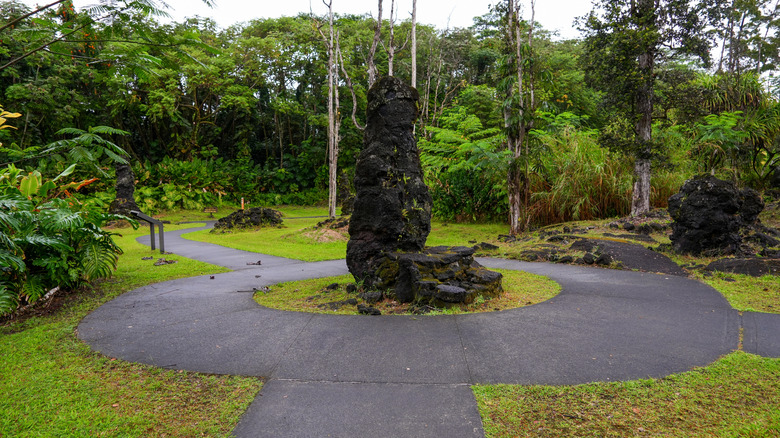 paved walkway around large lava column, forest