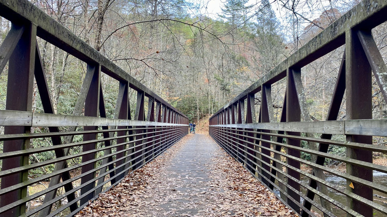 A bridge leading across the Virginia Creeper Trail