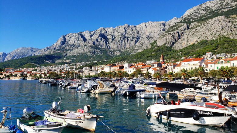 European town on water with boats & large mountain range