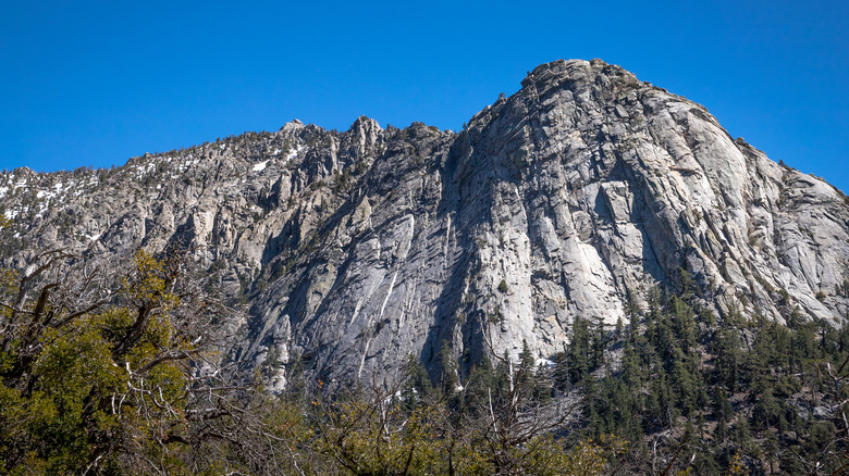 Mountains in Idyllwild
