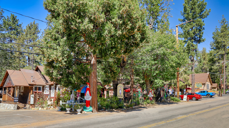 Entrance into Idyllwild