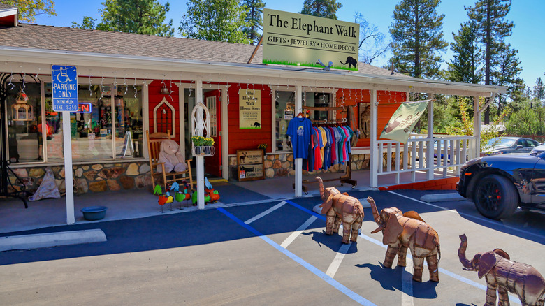 Idyllwild giftshop