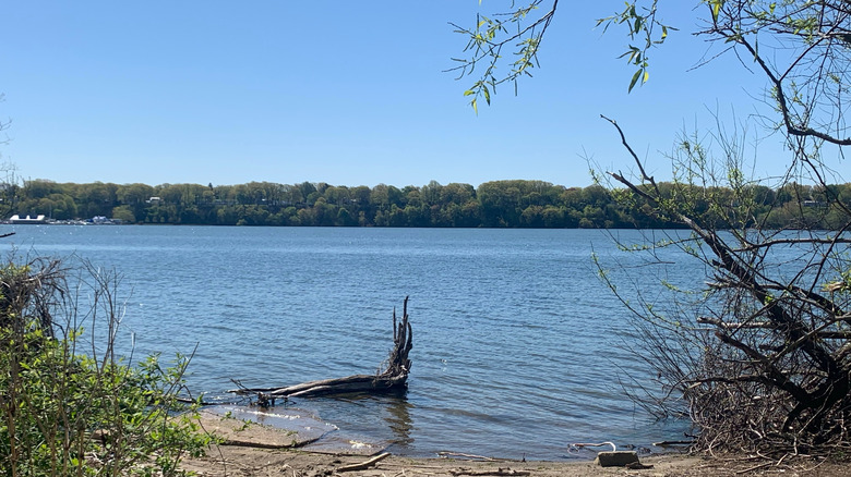 the shoreline in Geneva State Park in Geneva-on-the-Lake along Lake Erie in Ohio