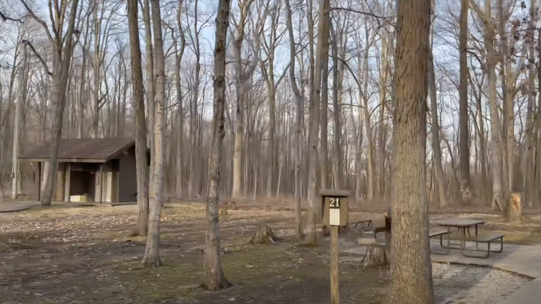 A wooded campsite at Sam Parr State Park.