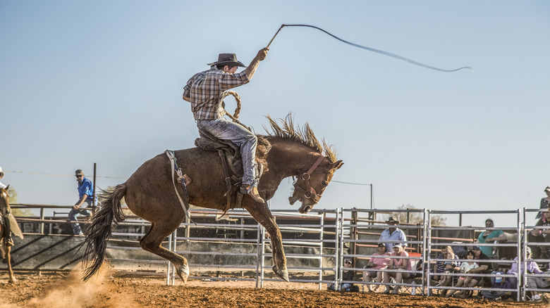 A cowboy brandishing a whip rides a bronco at the rodeo