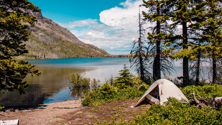 campsite on the lakefront