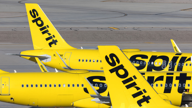 Spirit Airlines Airbus A320s parked next to the terminal at Harry Reid International Airport