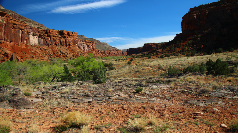 Big Dominguez Canyon landscape in Colorado