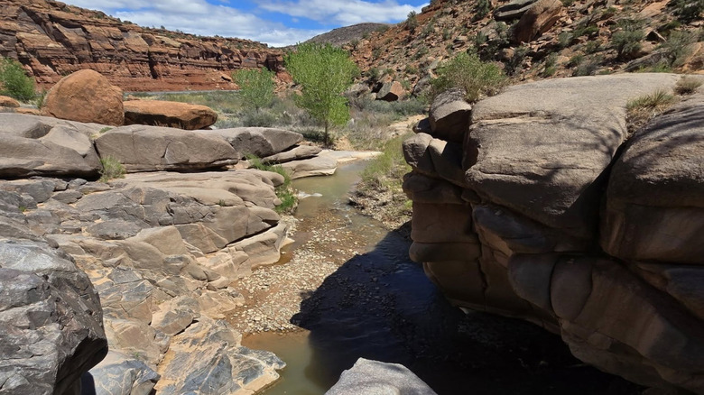 swimming hole with rocks surrounding