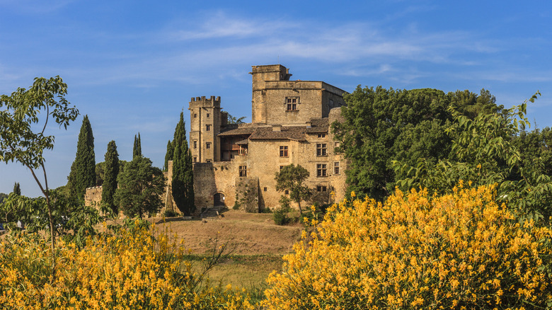 A Renaissance stone castle sitting atop a hillside surrounded by greenery