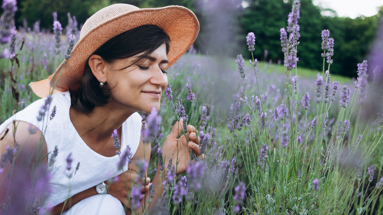 A woman wearing a hat crouching down smelling lavender in the fields
