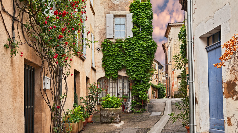 A charming village street view with old buildings and flowers and green vines