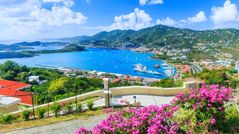 A view of a port in the US Virgin Islands
