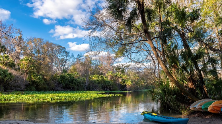 canoe by water with trees