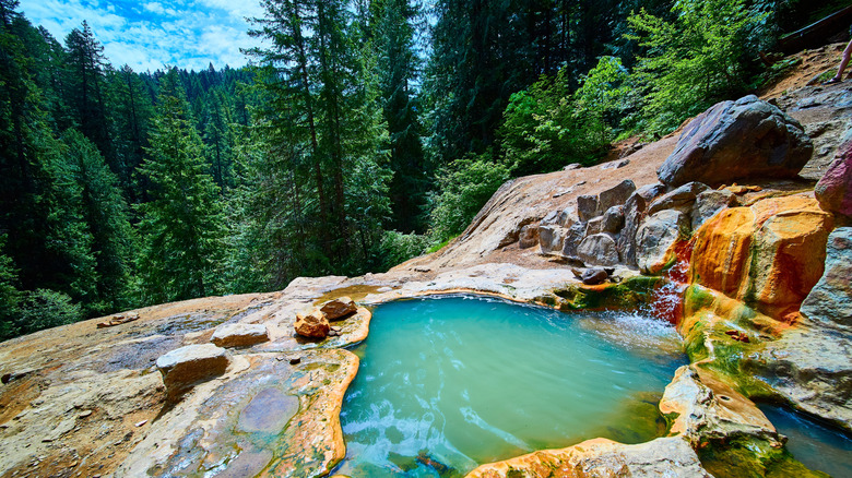 Turquoise Hot Spring in Lush Forest with Waterfall and Ripples Perspective.