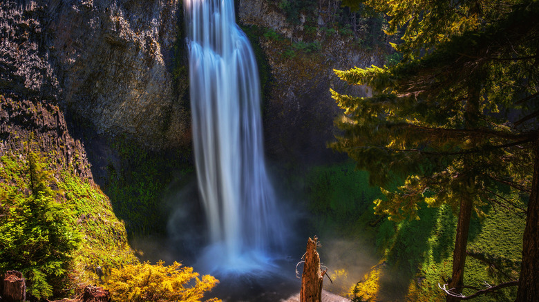 Salt Creek, which feeds into the hot springs, regulating its temperature
