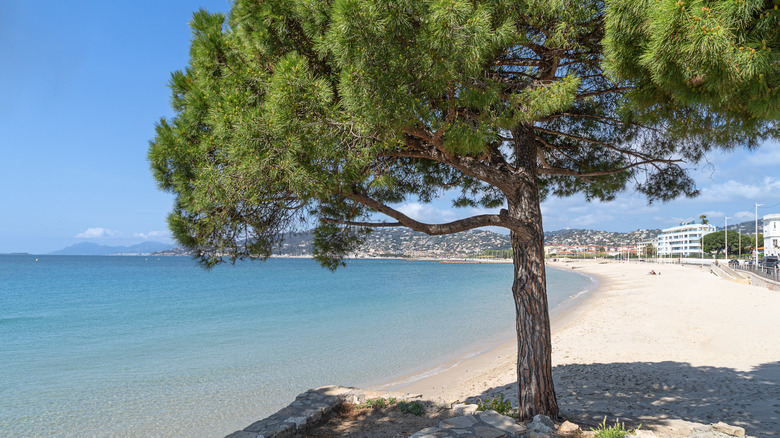 a white sand beach on the blue mediterranean sea