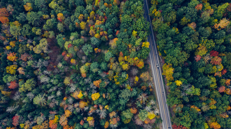 Aerial view of a road in upstate New York as the leaves begin to change color