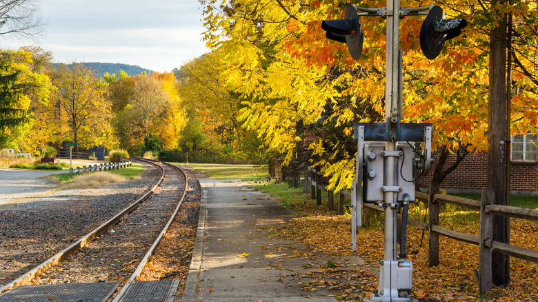 A railroad track surrounded by fall foliage