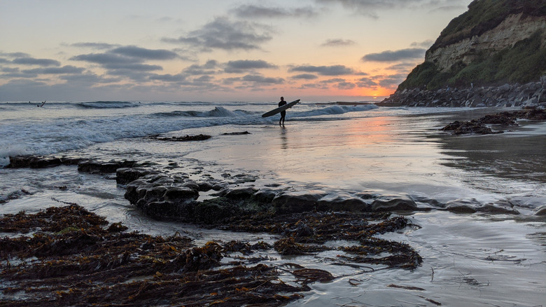 Surfer walking the beaches of Encinitas