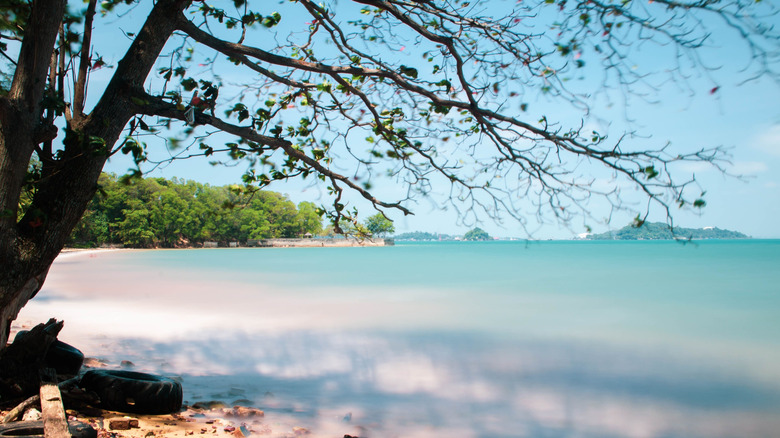 Tanjung Pinggi Beach in Batam Island