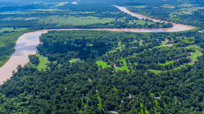 aerial view of river in green landscape
