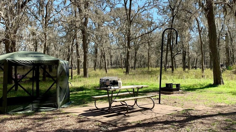 mesh shelter and picnic table in wooded area