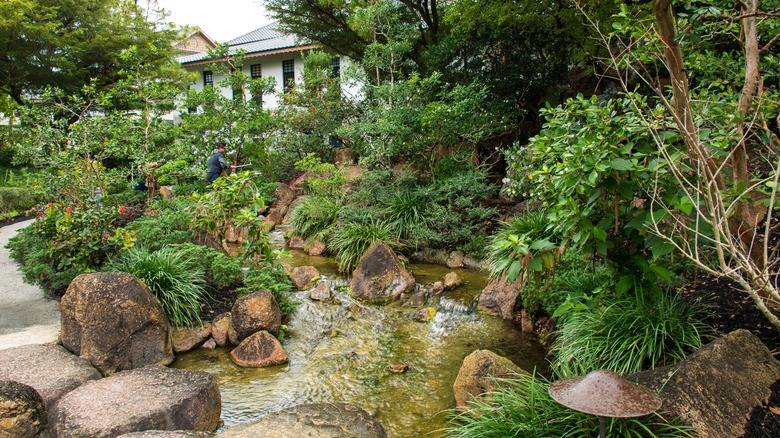 Morikami Museum and Botanical Garden
