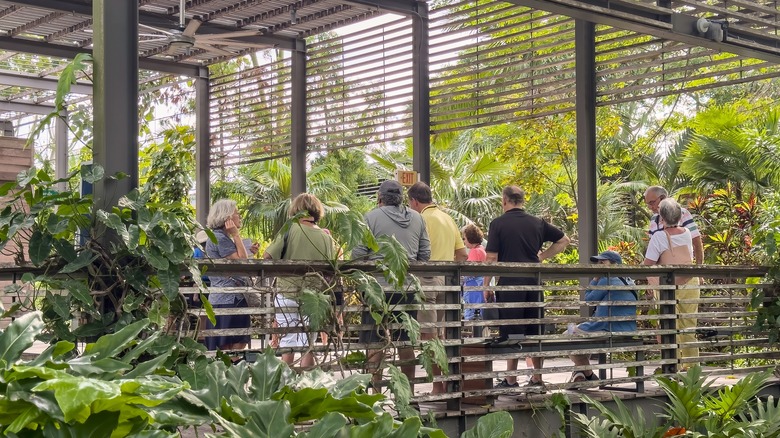 Tourists enjoying the Naples Botanical Garden