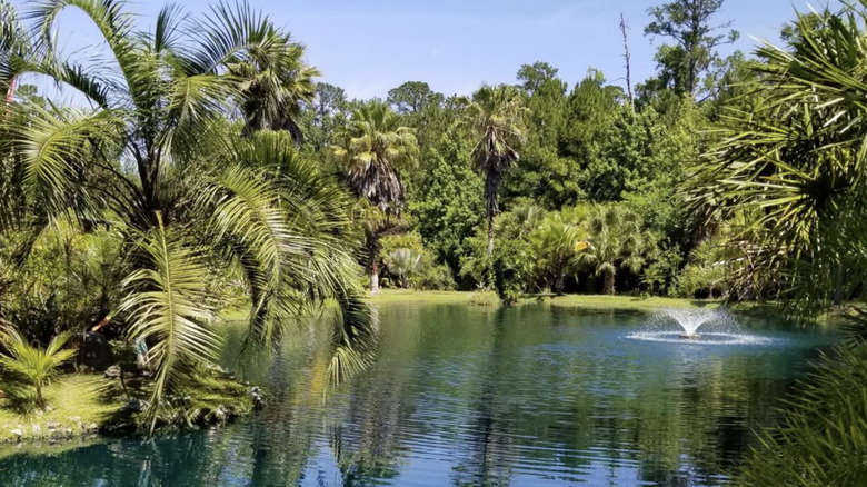 Blue lagoon at St. John's Botanical Garden and Nature Preserve