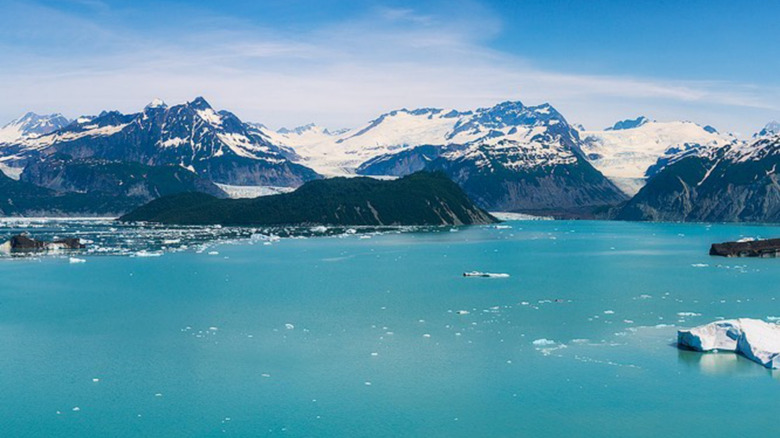 The glacial Alsek Lake in Alaska with icebergs and mountains.