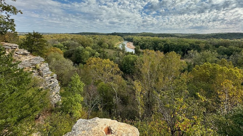 A view of a river and trees out over a cliff