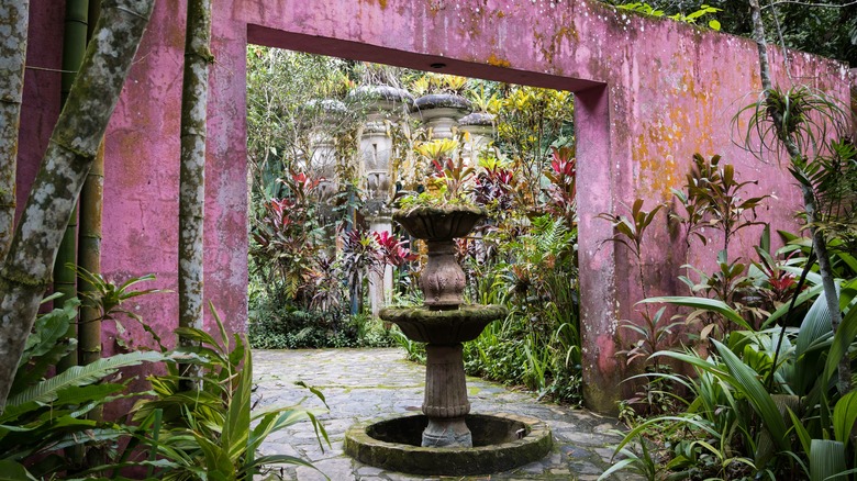 Pink archway with a fountain in the jungle